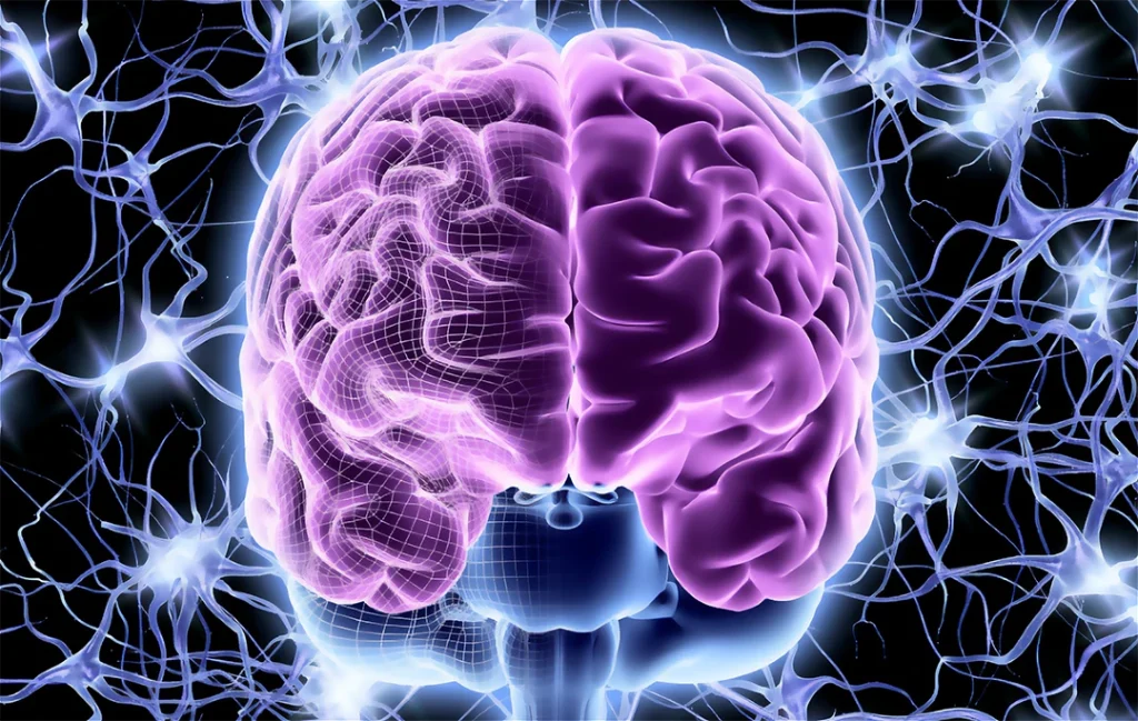 consumer brain marketing