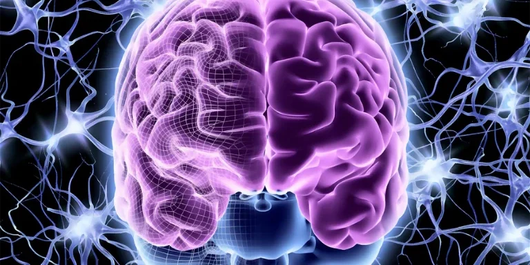 consumer brain marketing